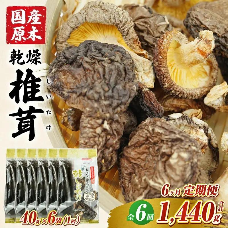 【6ヶ月定期便】乾燥しいたけ 240g（40g×6袋）×6回 1,440g_Tk004-t041