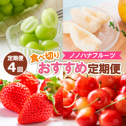 【定期便4回】ノノハナフルーツ　食べ切りおすすめ定期便 FZ25-811