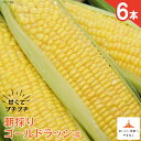 【ふるさと納税】【期間限定発送】 朝採り 即出荷 甘くてプチプチ ゴールドラッシュ 6本 [しゃんと畑 山梨県 韮崎市 20741886] 野菜 とうもろこし トウモロコシ