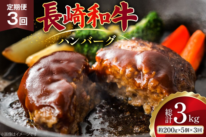 AJ586 【3回定期便】長崎和牛 ハンバーグ 約1kg (200g×5個) [ 肉 牛肉 和牛 おいしい ひき肉 焼くだけ おかず まるしん商会 黒牛 長崎県 島原市 ]