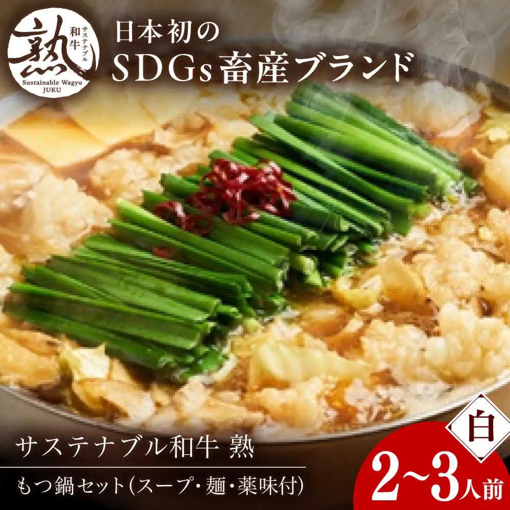 白のもつ鍋セット みそ味 2-3人前  [AIAT007] もつ鍋