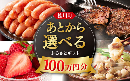 【あとから選べる】桂川町ふるさとギフト 100万円分[ADBV011]