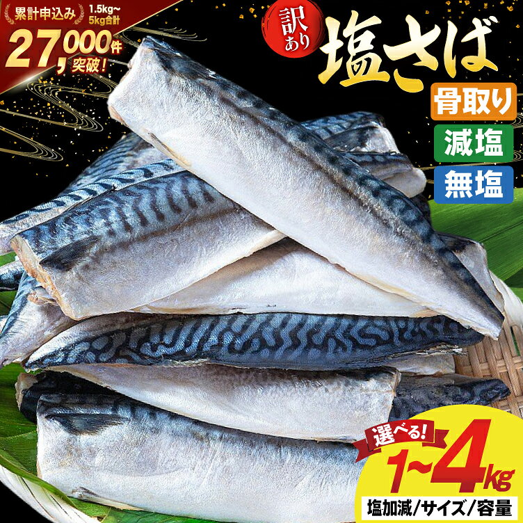 【ふるさと納税】 訳あり サバ 鯖 切り身/ フィレ [足利本店 宮城県 気仙沼市 20566160] さば 骨取り フィーレ 切身 サバフィレ 鯖フィレ 切り身 冷凍 訳アリ わけあり トロサバ 減塩 無塩 とろさば 人気 海鮮 規格外 魚介 焼き鯖 不揃い