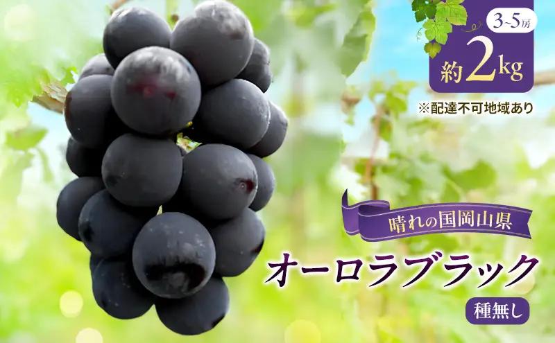 【2026年先行予約】 ぶどう 岡山県産 オーロラブラック （ 種無し ）約2kg（3～5房） 《2026年9月上旬-中旬頃出荷》 葡萄 ブドウ フルーツ 果物 スイーツ 数量限定 期間限定 岡山 里