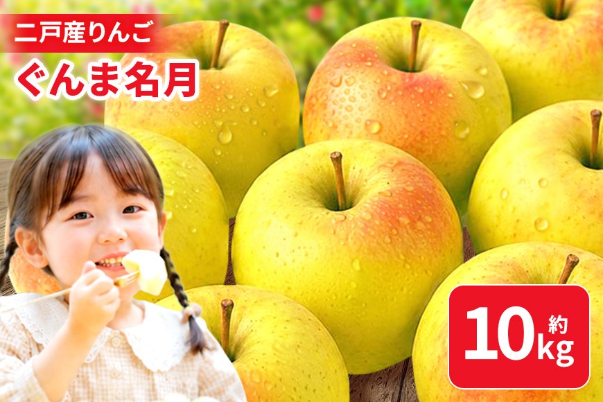 
                  二戸産りんご ぐんま名月 約10kg
                
