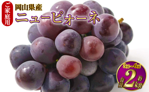 ご家庭用 岡山県産 ニューピオーネ 約2kg（3房～6房） 【2026年8月下旬～9月下旬迄発送予定】 果物 くだもの フルーツ ぶどう ブドウ 葡萄