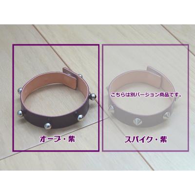 ふるさと納税 蒲郡市 SONY aibo専用【あいぼうネックリング】_オーブ・紫【G0520】