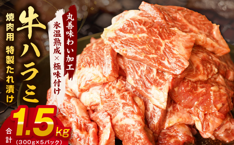 mrz0028 牛肉 ハラミ 1.5kg 小分け 300g×5P【氷温熟成×特製ダレ 味付き 牛肉 訳あり 不揃い 焼肉 BBQ 野菜炒め】