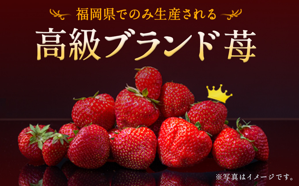 いちご「あまおう」 約270g×2パック 計約540g