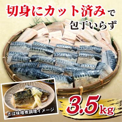 ふるさと納税 銚子市 【訳あり】霜降り塩さば切身 約3.5kg |  | 01