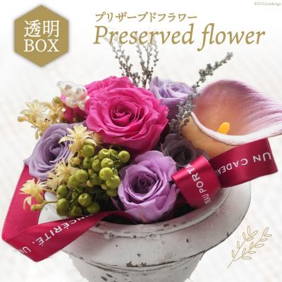 ふるさと納税 宝達志水町 プリザーブドフラワー アレンジ 箱付 ボックス 花 長期 [38600155]