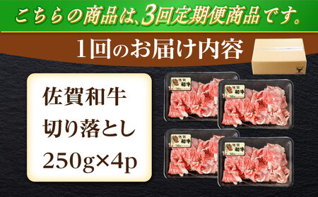 【3回定期便】佐賀和牛 切り落とし 計1kg(250g×4p)【一ノ瀬畜産】[NAC165]