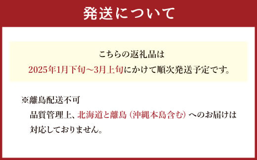 T21 あまおういちご2パック （約270g×2パック） 計約540g 【2025年1月下旬～3月上旬発送予定】 あまおう いちご ギフト フルーツ 果物 苺 くだもの 果実 福岡県 みやま市_イメー