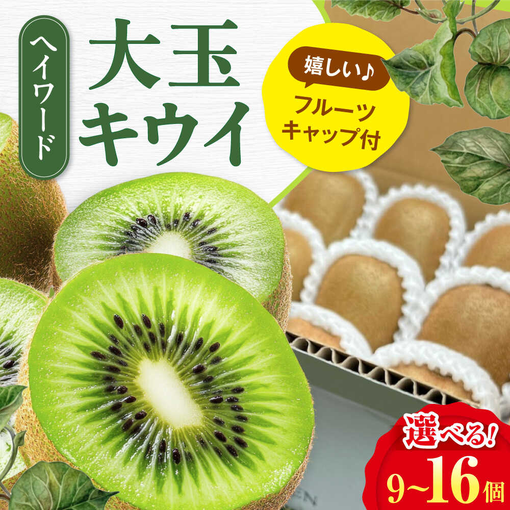 【ふるさと納税】キウイフルーツ 【2026年11月上旬から順次発送】【選べるサイズ】 ヘイワード （大玉〜特大）9〜16個 フルーツキャップ付 国産 くだもの フルーツ 大洲市/西村農園[AGDC001] キウイ キウイフルーツ 果物 産地直送 おすすめ 人気 お取り寄せ 送料無料