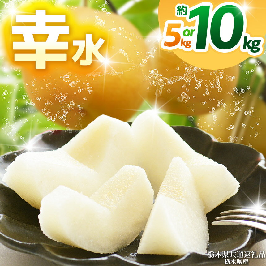 【ふるさと納税】【栃木県共通返礼品】【選べるグラム数】幸水 約5kg 10kg | 梨 なし ナシ 新品種 先行予約 大粒 新鮮 甘い 美味しい 果物 くだもの フルーツ ふるーつ 共通返礼品 フルーツ デザート 栃木県 那珂川町