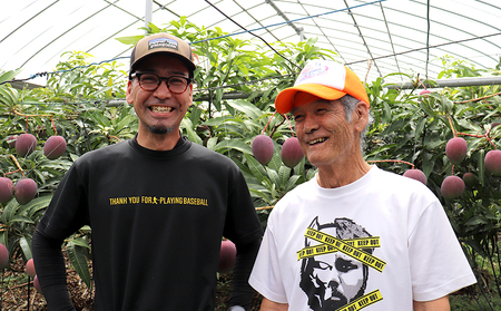 【2025年発送】久米島熱帯果樹園「特選」極上完熟マンゴー1玉（450g以上）糖度15度以上 アーウィン アップルマンゴー マンゴー トロピカル フルーツ 果物 南国 沖縄 久米島 ふるさと納税 農園