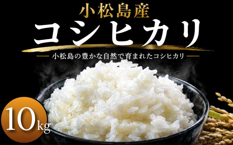 令和7年産 コシヒカリ 10kg 白米 米 数量 限定 こしひかり 10キロ 米10kg ごはん こめ コメ はくまい okome kome おむすび おにぎり 国産 飯 おこめ 小松島市