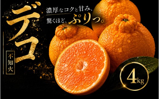 【早い者勝ち】 深い甘み 【デコ（不知火）（デコポンと同品種）】4kg 愛媛県産 【2027年1月下旬頃から順次発送】 | でこぽん しらぬい shiranui みかん ミカン mikan 蜜柑 訳ありフルーツ 柑橘 果物 おすすめ お勧め お取り寄せ ギフト 愛媛県 松山市