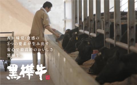 熊本県産黒毛和牛　黒樺牛ロースステーキ　400ｇ×3回【定期便】