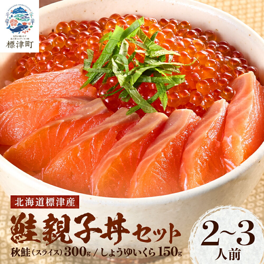 【ふるさと納税】鮭親子丼セット【純標津産】2〜3人前用 イクラ 北海道 人気 おすすめ サケ サーモン 魚卵 天然【配送不可地域：離島】