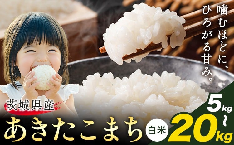 
                  米 あきたこまち 白米 茨城 ふるさと米 選べる 5kg 10kg 20kg《2月中旬-3月末頃出荷》 茨城県 結城市 米 国産 お米 おこめ お弁当 おにぎり
                