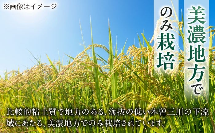 ハツシモ はしつも お米 米 こめ 白米 15kg 15キロ 定期便 米定期便