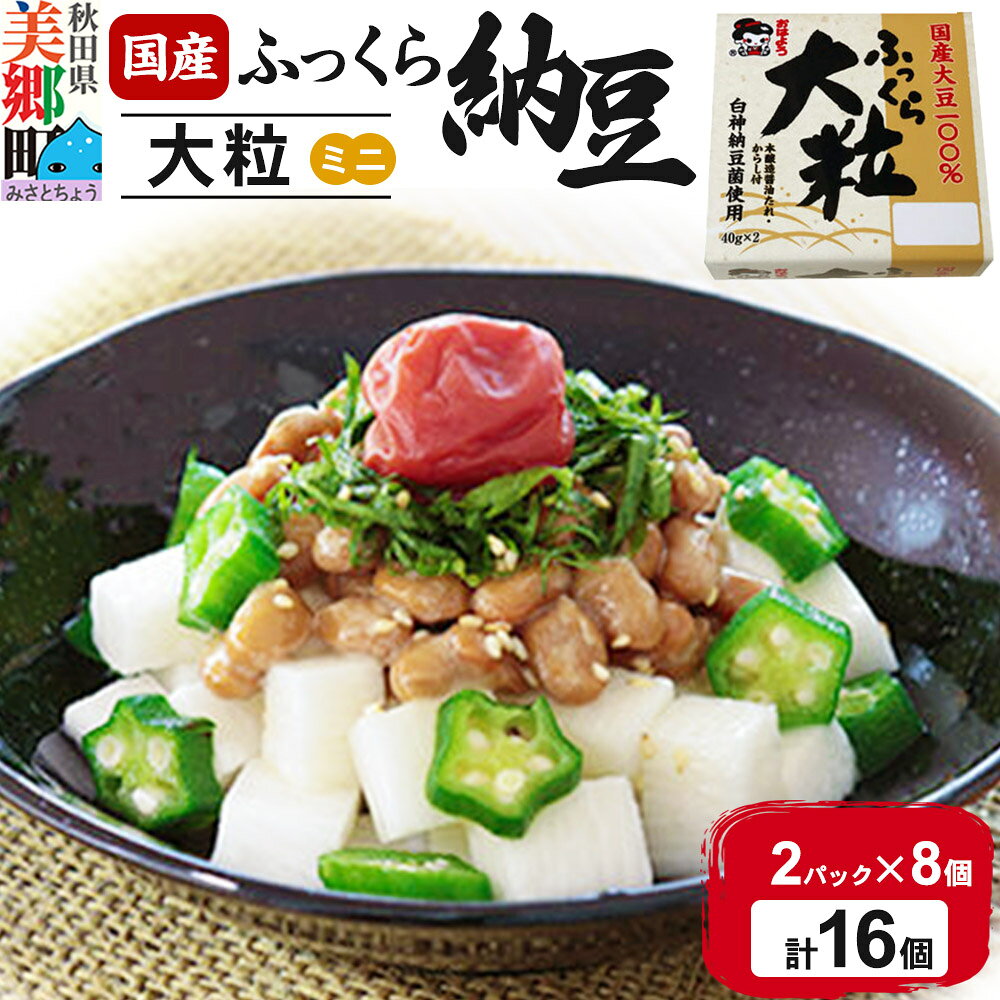 【ふるさと納税】ヤマダフーズ 国産 ふっくら大粒 ミニ 2パック×8個（計16個） [納豆 なっとう ナットウ 大粒 ミニ サイズ 飯のお供 ご飯のおとも ごはんのお供 朝食 国産]