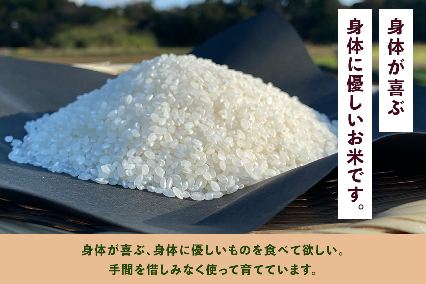 ＜白米 5kg＞『身体が喜ぶ野菜とお米』詰め合わせ おまかせセット 茨城県産 コシヒカリ 米 お米 ご飯 ごはん 栽培期間中農薬不使用 季節の野菜 セット 微生物農法 EM農法 有機栽培 産地直送 新
