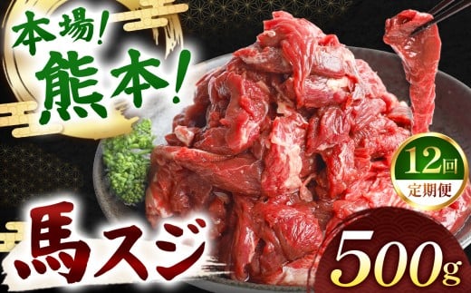 【定期便 12回】馬スジ 500g | 肉 にく お肉 おにく 馬 馬肉 馬スジ 定期 定期便 熊本県 玉名市