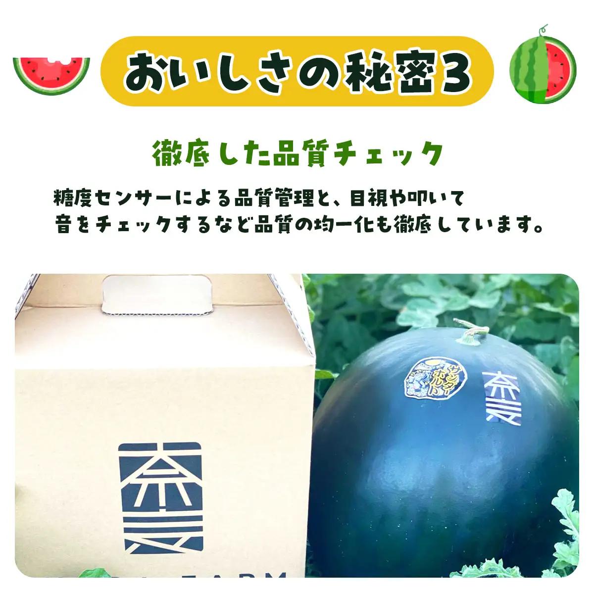 【先行予約】サンブラックスイカ　SMAF005