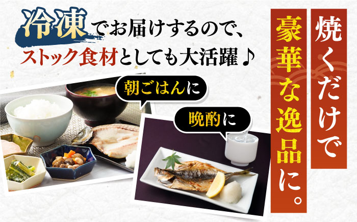 【全6回定期便】旬の海産物 干物詰め合わせ Aセット 《壱岐市》【マルミ海産物】[JCY010] 66000 66000円 干物 ひもの アジ あじ さんま サンマ イワシ みりん干し 朝食 鮮魚 手