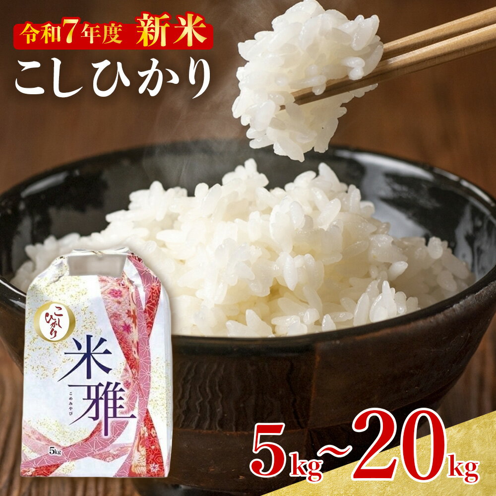 【ふるさと納税】【新米先行予約】コシヒカリ 白米 5kg 10kg 20kg 新米 R7年産【9月下旬～発送】2025年産 白米 精米 直前精米 新米 化学肥料不使用 有機米 お米 こめ コメ コシヒカリ こしひかり 人気 兵庫県産 精米