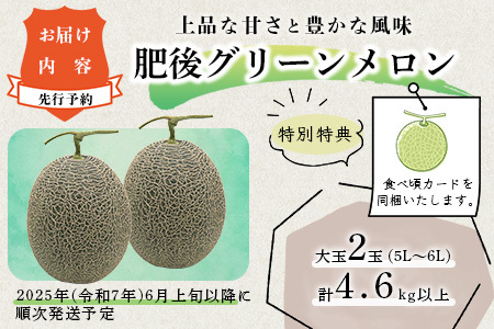 【2024年6月上旬以降発送分 先行予約】肥後グリーン メロン 2玉 合計4.4kg以上 熊本県産 メロン 青肉 メロン 旬 メロン 果物 熊本 メロン フルーツ メロン 101-0001