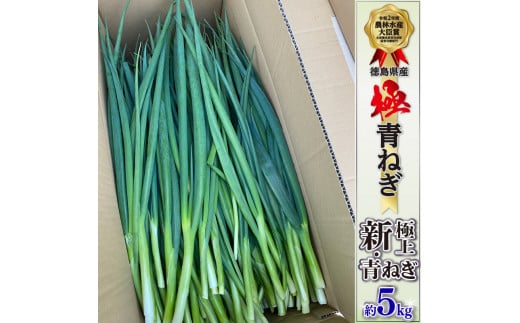 青ねぎ 5kg ネギ 葱 極上 薬味 国産 野菜 阿波市 うどん ギョーザ 餃子 チャーハン 焼きネギ 徳島 阿波市