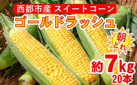 【先行予約】朝どれ　西都市産スイートコーン　ゴールドラッシュ約7㎏＜1-9＞2025年初夏発送