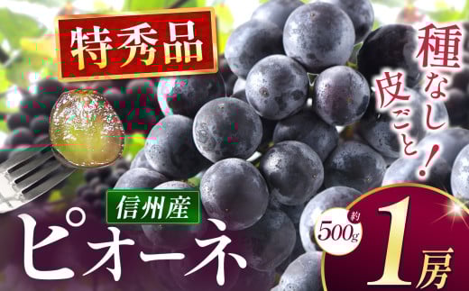 【先行受付】種なしピオーネ　1房（約500g）｜ふるさと納税 松本市 ぶどう 種なしぶどう ピオーネ 果物 濃厚 農家 自然 ビタミン 地元 新鮮