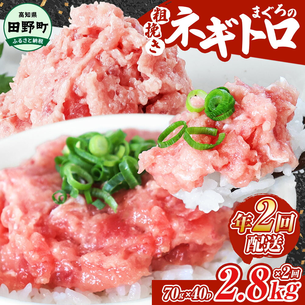 【ふるさと納税】ネギトロ 2,800g（70g×40パック）×年2回配送 ≪カネアリ水産≫ ねぎとろ まぐろ 鮪 マグロ キハダマグロ まぐろたたき 粗挽き 小分け パック 海鮮 魚介 便利 簡単 冷凍 配送 高知県 田野町 ふるさとのうぜい 故郷納税 返礼品 ～四国一小さなまち～