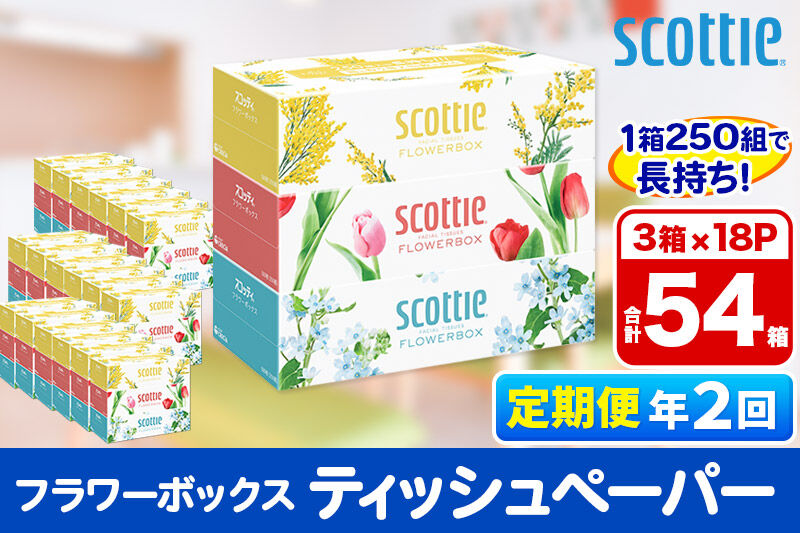 《6ヶ月ごとに2回お届け》定期便 ティッシュペーパー スコッティ フラワーボックス250組 54箱(3箱×18パック)  [ティッシュ ボックスティッシュ 定期便]