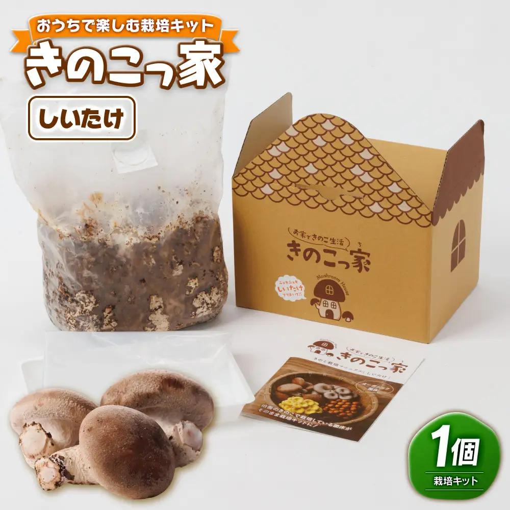 おうちで楽しむ栽培キット「きのこっ家」　しいたけ