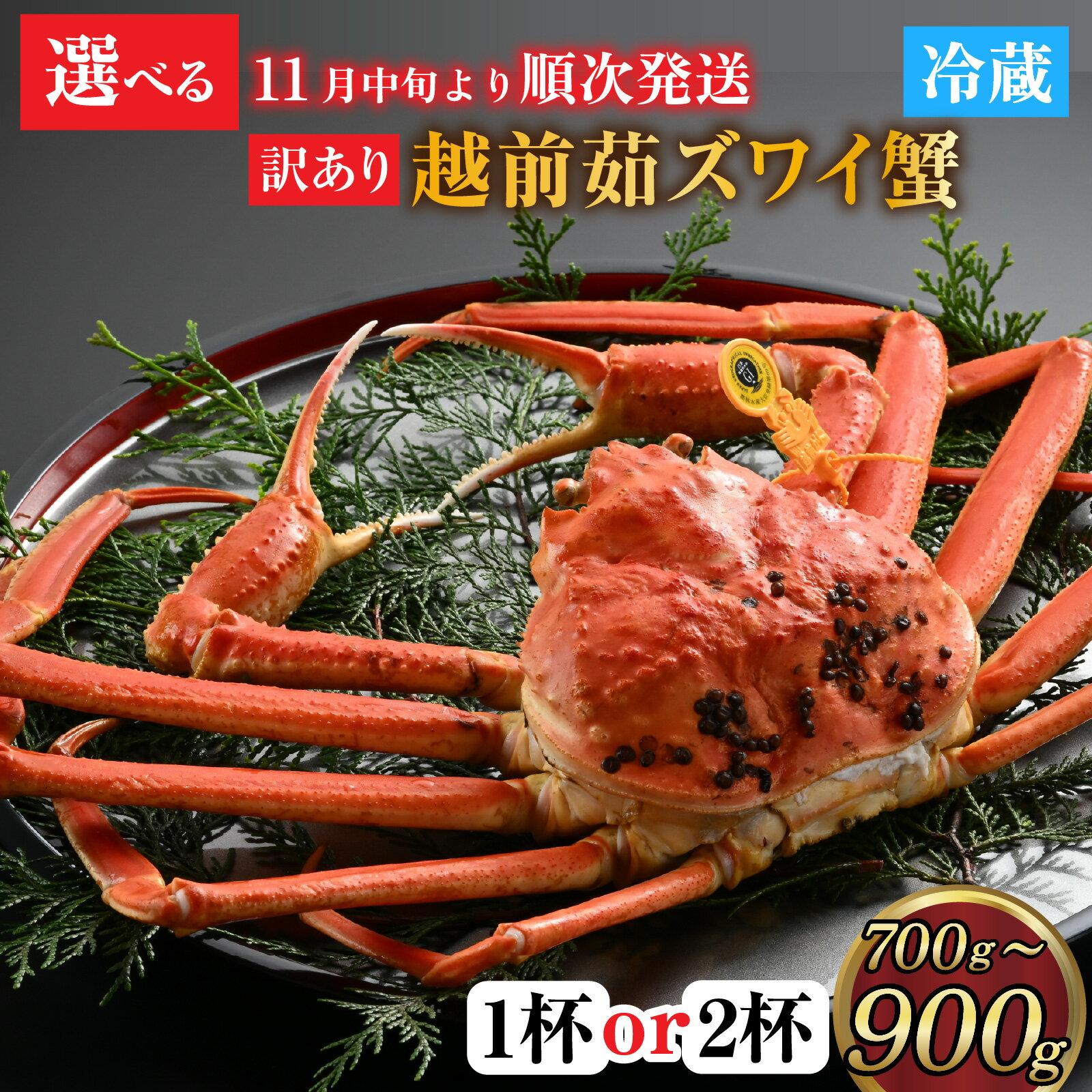 【ふるさと納税】【先行予約】[捌き済選択可][到着日指定可]【訳あり】蟹好きが唸る老舗カニ料理店の越前茹ズワイ蟹 中サイズ(700g～900g) 1杯or2杯 [I-085037] / カニ かに かにボイル かにみそ 越前ガニ ズワイガニ ずわい蟹 ズワイガニ 姿 福井 国産 冷蔵 送料無料