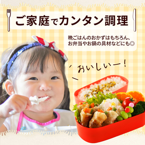 ＜2か月に1回　計6回定期便＞国産豚で作った惣菜セット6種 かんたん 惣菜 こだわり 国産 お弁当 和食 [022J26-T]