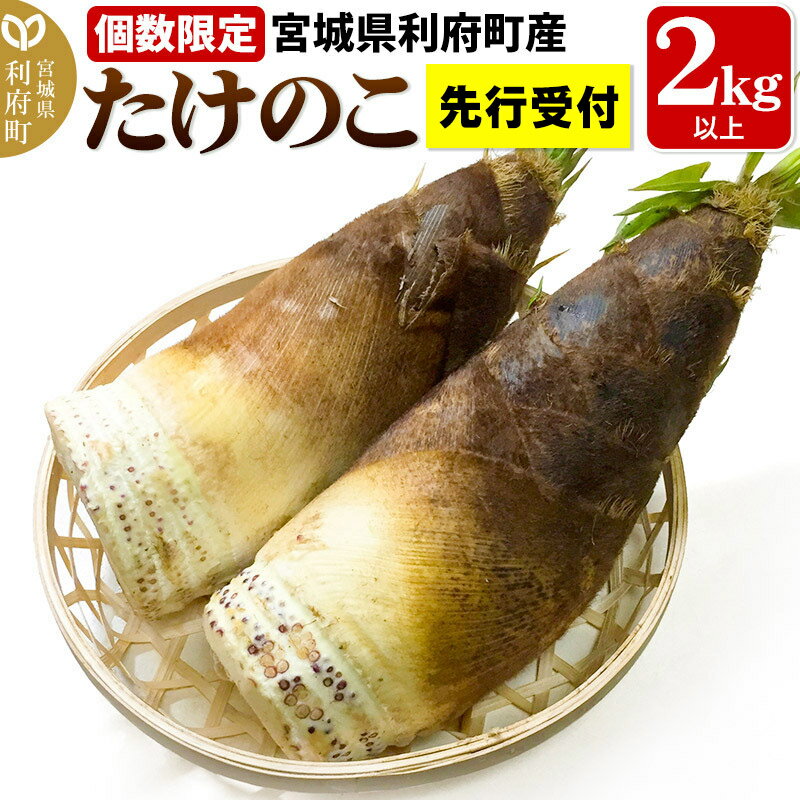 【ふるさと納税】タケノコ 【2027年発送 先行受付】 宮城県 利府町産 採れたて たけのこ 皮付き2kg以上（2〜6本）筍 野菜 国産 新鮮 旬 [先行予約 予約 筍 竹の子 タケノコ 野菜 国産 新鮮]