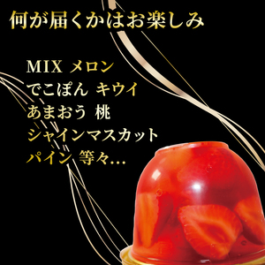 【まるで宝石なゼリー】フルーツたっぷり果実生ゼリー3種（ゼリー フルーツゼリー ゼリー果物 ）