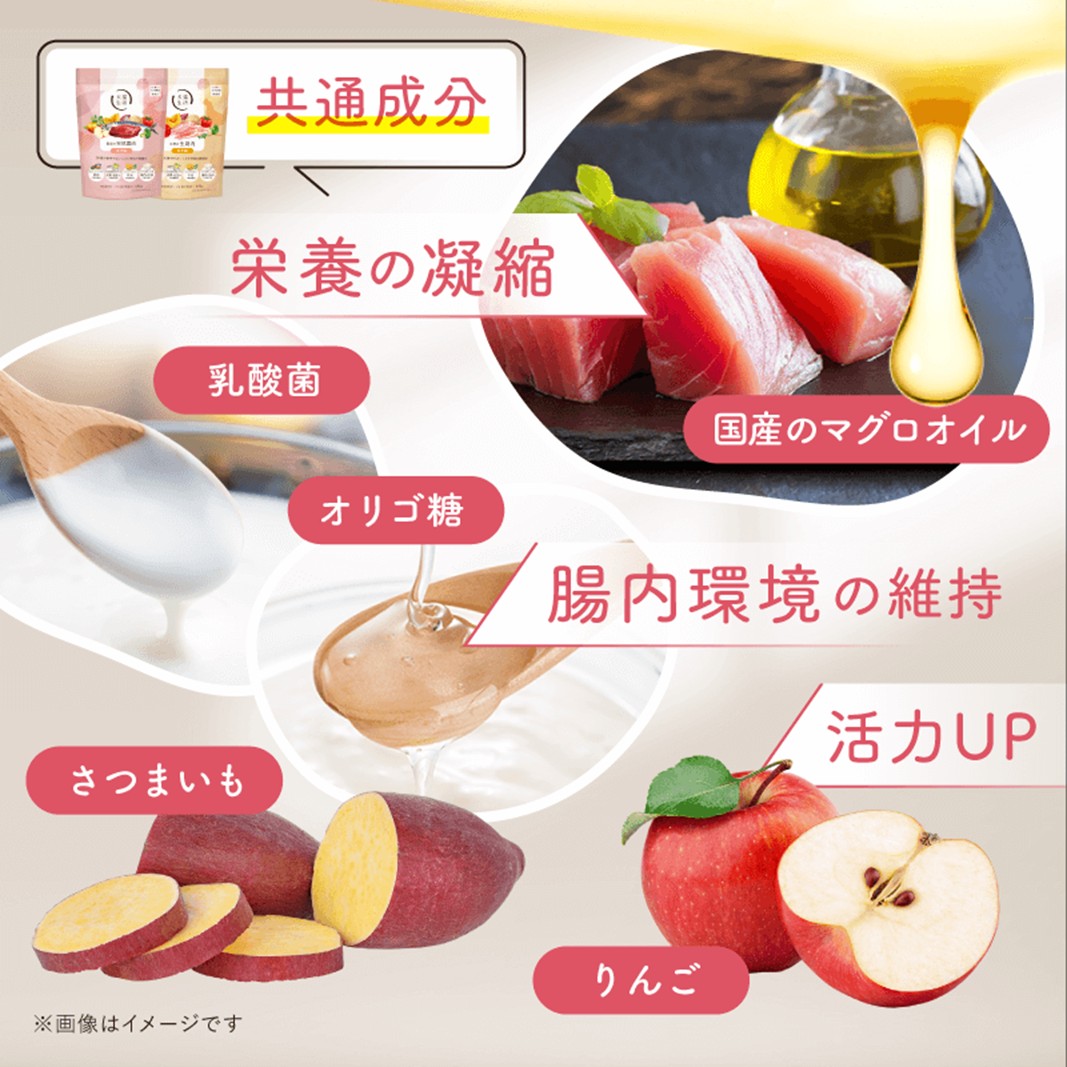 犬猫生活 ドッグフード 全年齢対象 国産の生鶏肉味 850g×2袋