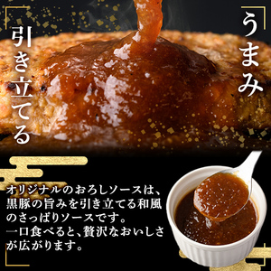 a679 「かごしま黒豚さつま」黒豚ハンバーグおろしソース計1.5kg！(150g×10パック)鹿児島県産黒豚をスチームオーブンで焼き上げました！【AKR Food Company】