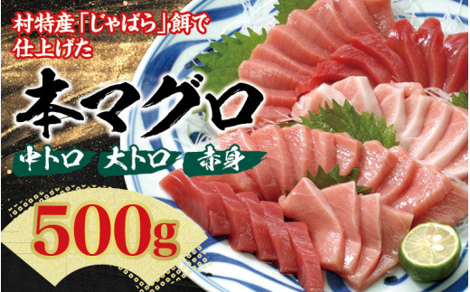 本マグロ（養殖） トロ＆赤身セット 500g 【１ヶ月以内に順次発送】☆北山村人気No1☆ | まぐろ マグロ 本マグロ 鮪 中トロ 赤身 柵 刺身 お刺身 人気 海鮮 海産物 鮮魚 魚 じゃばらまぐ