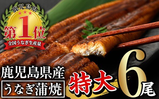 
										
										鹿児島県産うなぎ蒲焼セット＜特大＞(計960g・ 約160g×6尾) タレ・山椒付 鰻 うなぎ 蒲焼 【西日本養鰻】C7-v02
									