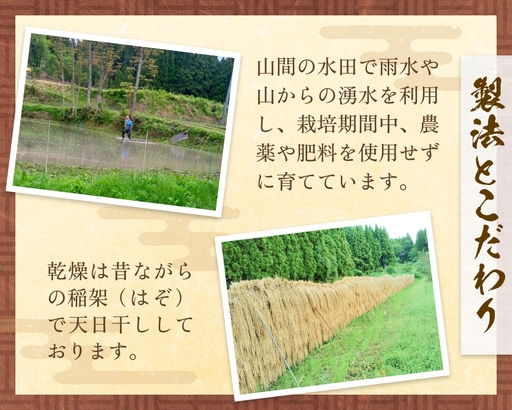 令和7年産 富山県産 ミルキークイーン はさがけ米 無洗米 5kg 富山県 氷見市 米 ブランド米