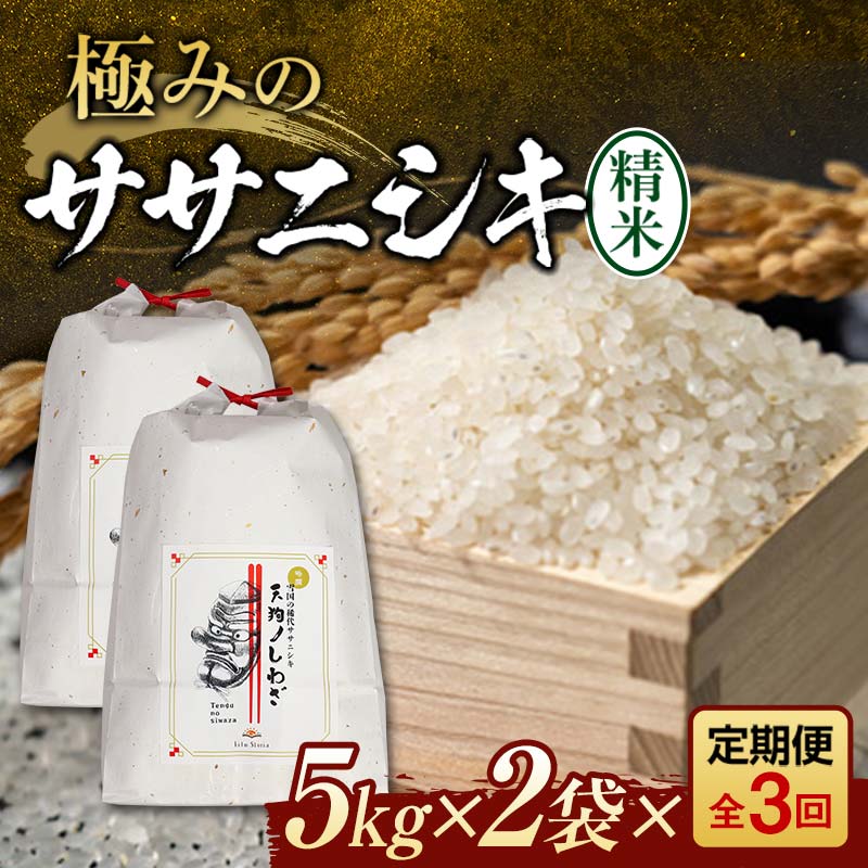 【ふるさと納税】 定期便 全3回 極みのササニシキ（精米）5kg×2 米 お米 おこめ ふるさと納税 山形県 新庄市 F3S-2425