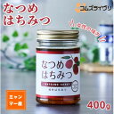 【ふるさと納税】なつめはちみつ　400g【1470780】